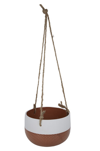 tk-maxx donica-wiszaca-duza 49.99 zl