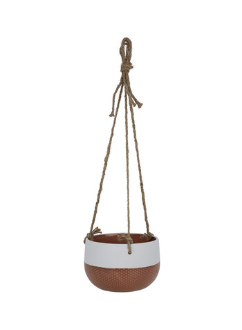 tk-maxx donica-wiszaca-mala 27.99 zl