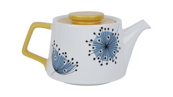 tk-maxx imbryk-dmuchawce 79.99 zl