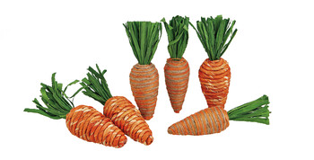 tk-maxx zestaw-dekoracji-z-motywem-marchewki 49.99 zl