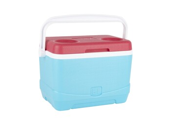 TK Maxx Cooler na piknik 74.99 ZL
