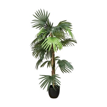 Tk Maxx Kintentional sztuczna palma Kentia 169.99PLN