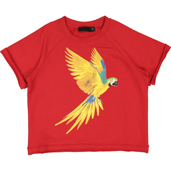 Krotki czerwony t-shirt