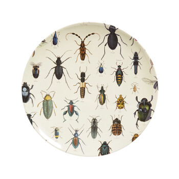 Talerz ze wzorem w owady