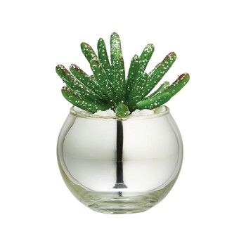 Mala ozdoba kaktus