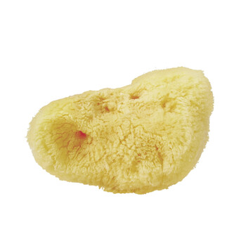 Naturalna gąbka