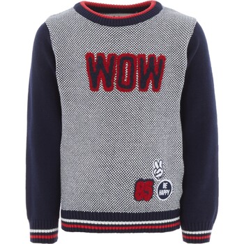 Sweter z aplikacja