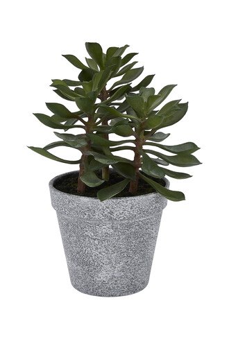 TK Maxx sztuczna roslina 27.99PLN