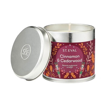 TK Maxx Święta 2023 swieca cynamon 34.99zl