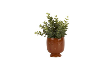 TK Maxx Sztuczna roslina 39.99PLN
