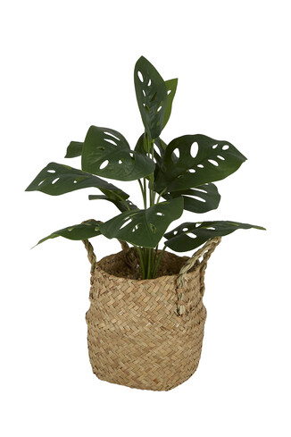 TK Maxx sztuczna roslina 74.99PLN