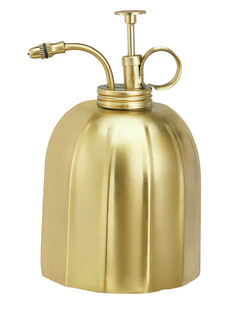 tk-maxx spryskiwacz-do-kwiatow-zloty 59.99 zl