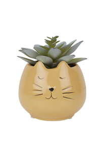 tk-maxx sztuczna-roslina 34.99pln