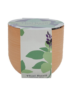 tk-maxx zestaw-do-hodowania-bazylii 59.99pln