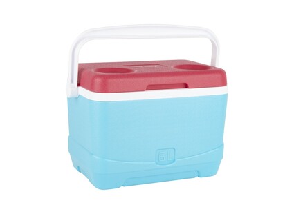 TK Maxx Cooler na piknik 74.99 ZL