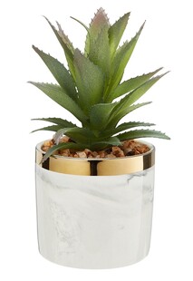 TK Maxx Sztyczny kwiat w doniczce 59.99 ZL