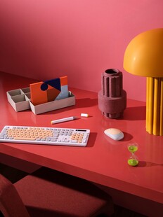 TK Maxx Zdjęcie HOME OFFICE