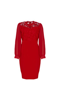 Pomarańczowa sukieka