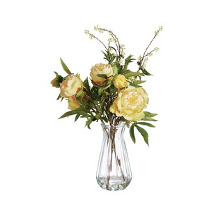 pastelzest yellowpeoniestallglassvase RRPNA HO