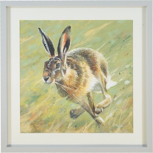 Obraz z królikiem