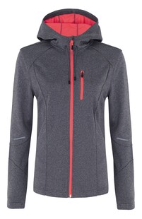 Bluza