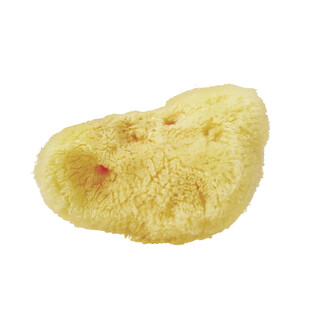Naturalna gąbka