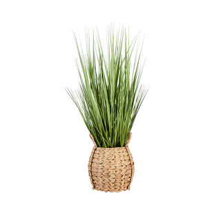 TK Maxx trawa ozdobna w wiklinowej doniczce 199.99zl