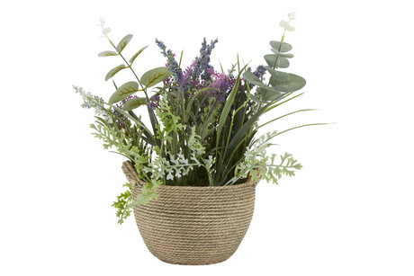 TK Maxx Sztuczna roslina 59.99 zl