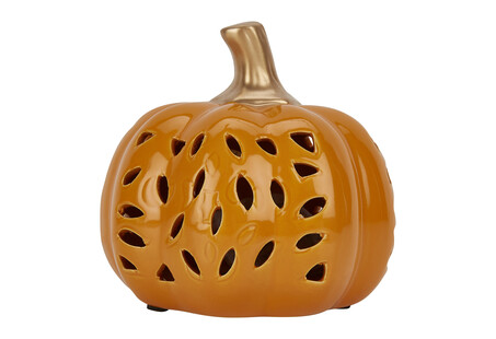 TK Maxx Dynia ozdobna 44.99PLN