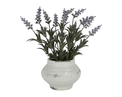 TK Maxx Sztuczna roslina 49.99PLN