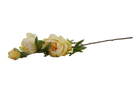 TK Maxx Sztuczny kwiat 19.99 zl