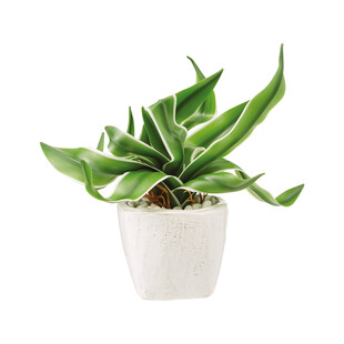 TK Maxx sztuczna roslina w bialej doniczce 64.99PLN