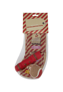 TK Maxx Zestaw zabawek dla psa 23.99PLN