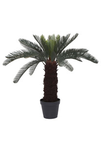 TK Maxx Sztuczna palma 349.99 zl