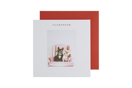 TK Maxx kartka 12.99PLN