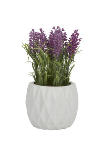 TK Maxx Sztuczne kwiatki 74.99PLN