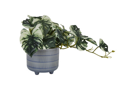 TK Maxx Sztuczne kwiaty 89.99PLN