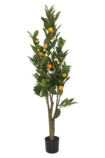 TK Maxx Sztuczne drzewo 169.99 zl