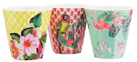 Zestaw kolorowych kubeczków