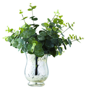 Eukaliptus w wazonie